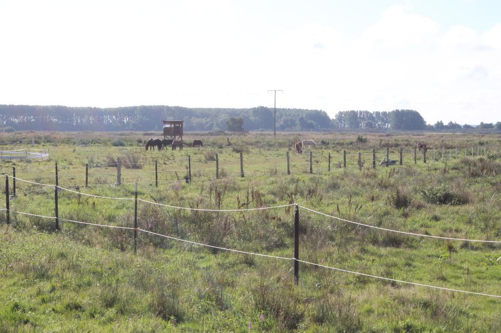 Strandhaus Glowe Oda fotoğraf